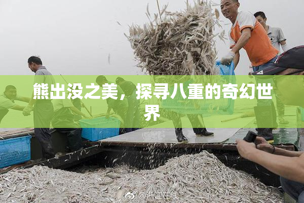 熊出没之美，探寻八重的奇幻世界