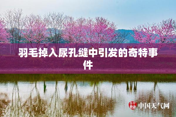 羽毛掉入尿孔缝中引发的奇特事件