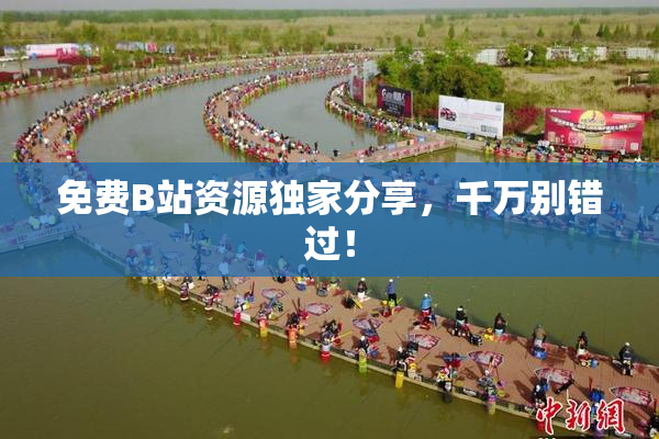 免费B站资源独家分享，千万别错过！
