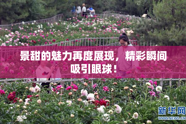景甜的魅力再度展现，精彩瞬间吸引眼球！