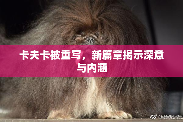 卡夫卡被重写，新篇章揭示深意与内涵