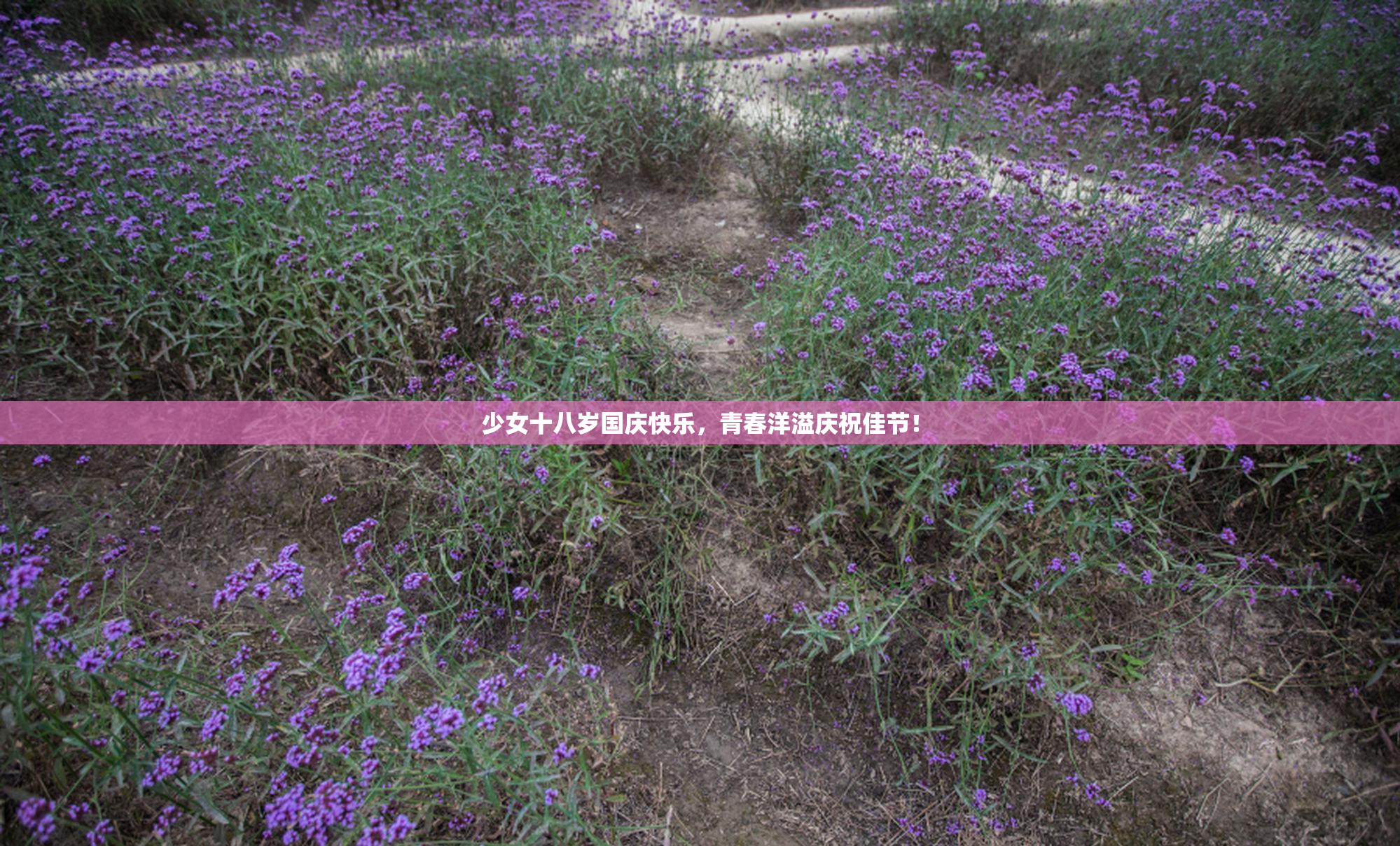 少女十八岁国庆快乐，青春洋溢庆祝佳节！
