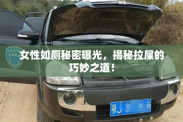 女性如厕秘密曝光，揭秘拉屎的巧妙之道！