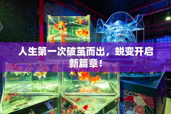 人生第一次破茧而出，蜕变开启新篇章！