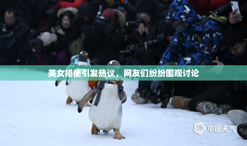 美女排便引发热议，网友们纷纷围观讨论