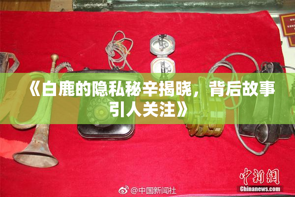 《白鹿的隐私秘辛揭晓，背后故事引人关注》