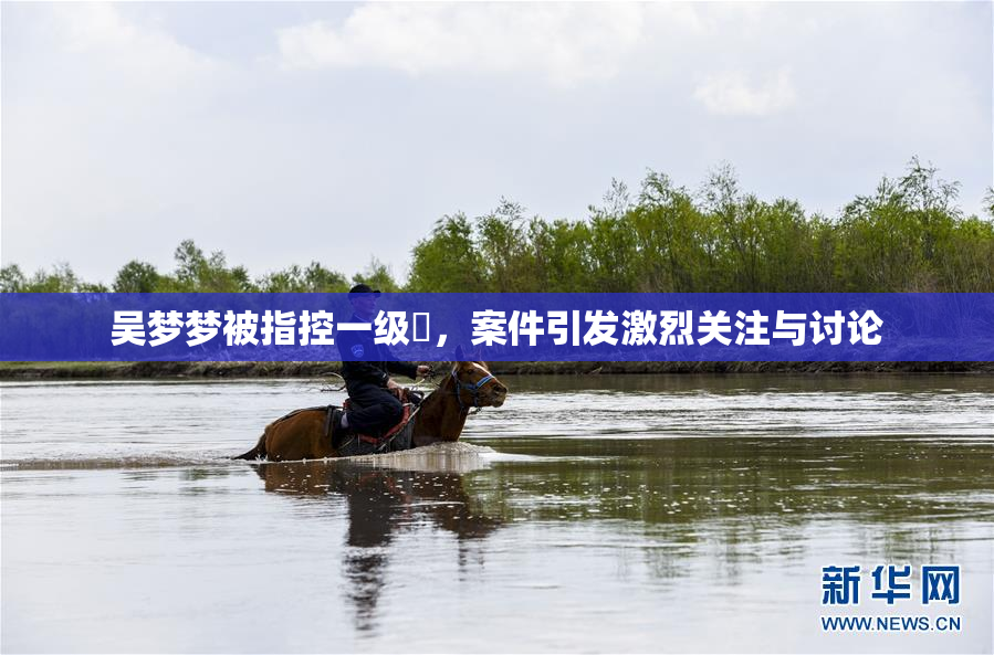 吴梦梦被指控一级婬，案件引发激烈关注与讨论