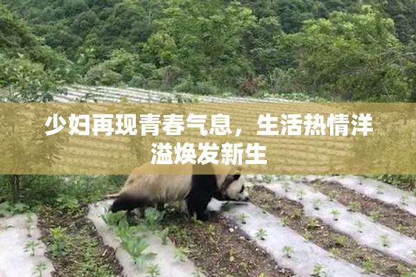 少妇再现青春气息，生活热情洋溢焕发新生