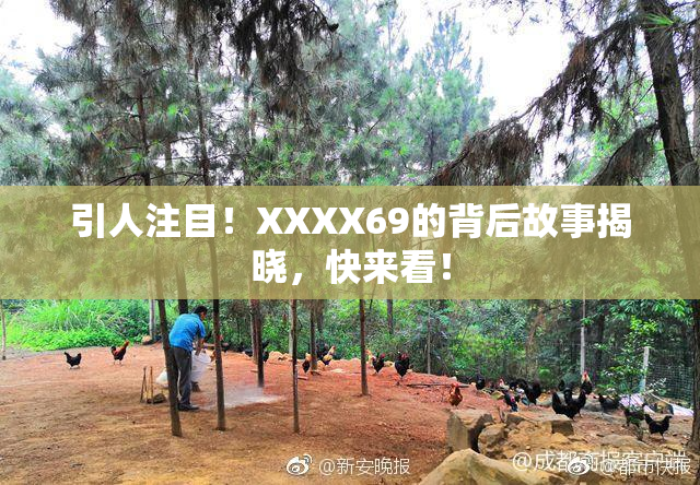 引人注目！XXXX69的背后故事揭晓，快来看！