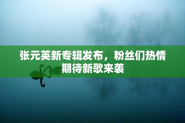 张元英新专辑发布，粉丝们热情期待新歌来袭