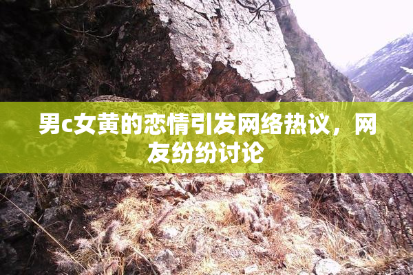 男c女黄的恋情引发网络热议，网友纷纷讨论