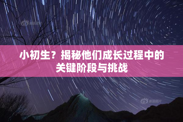 小初生？揭秘他们成长过程中的关键阶段与挑战
