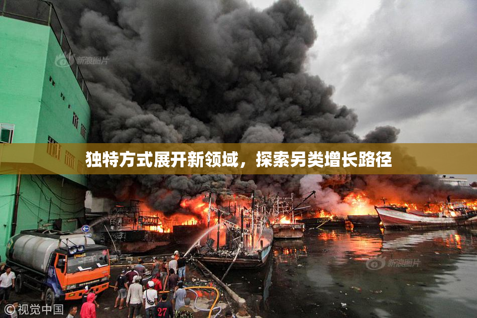 独特方式展开新领域，探索另类增长路径