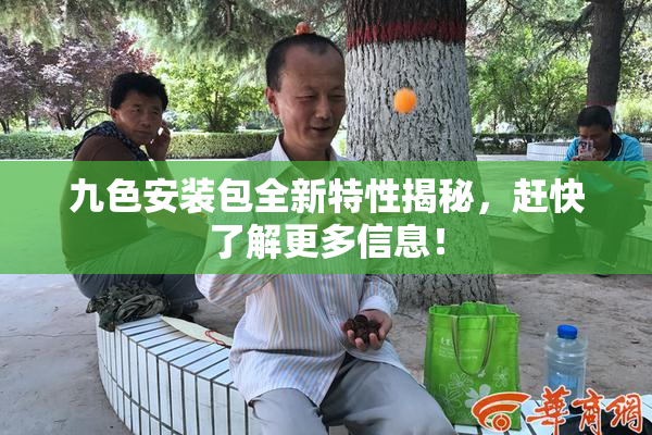 九色安装包全新特性揭秘，赶快了解更多信息！