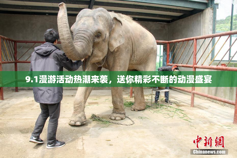 9.1漫游活动热潮来袭，送你精彩不断的动漫盛宴