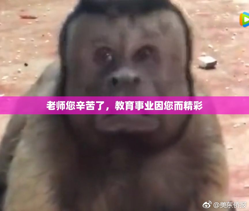 老师您辛苦了，教育事业因您而精彩