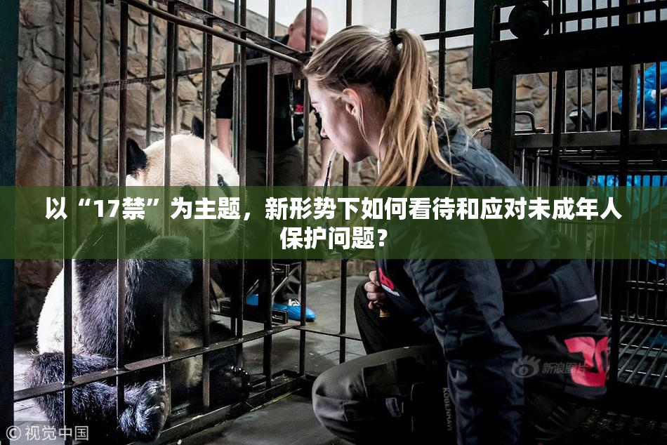以“17禁”为主题，新形势下如何看待和应对未成年人保护问题？