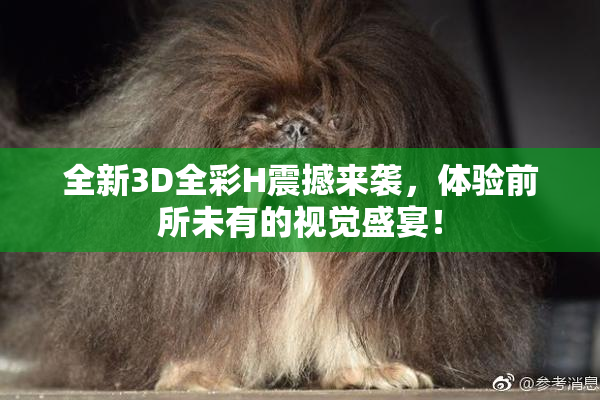 全新3D全彩H震撼来袭，体验前所未有的视觉盛宴！