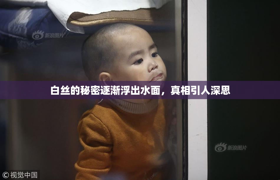 白丝的秘密逐渐浮出水面，真相引人深思