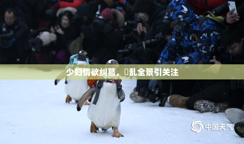 少妇情欲纠葛，婬乱全景引关注