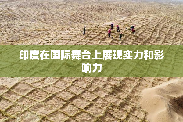 印度在国际舞台上展现实力和影响力