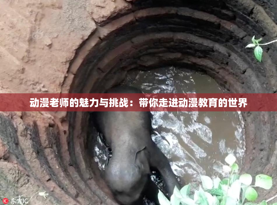 动漫老师的魅力与挑战：带你走进动漫教育的世界