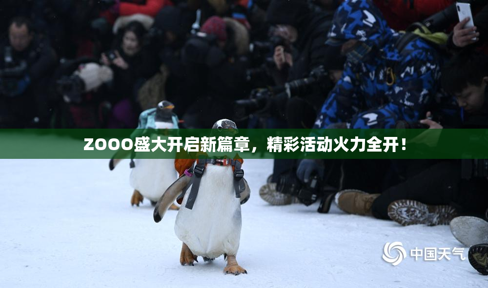 ZOOO盛大开启新篇章，精彩活动火力全开！