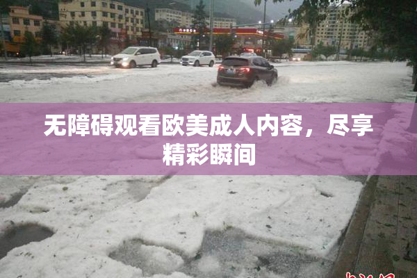 无障碍观看欧美成人内容，尽享精彩瞬间