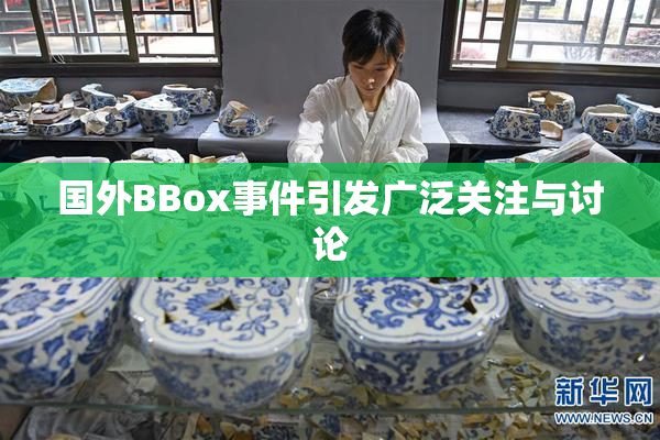 国外BBox事件引发广泛关注与讨论