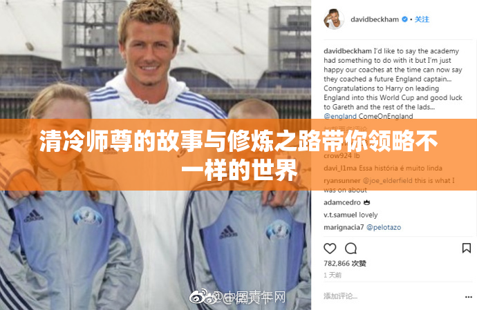 清冷师尊的故事与修炼之路带你领略不一样的世界