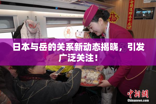 日本与岳的关系新动态揭晓，引发广泛关注！
