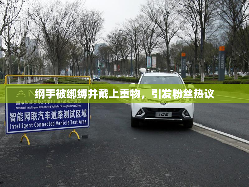 纲手被绑缚并戴上重物，引发粉丝热议