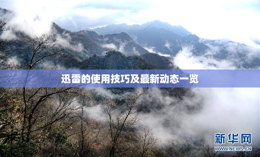 迅雷的使用技巧及最新动态一览