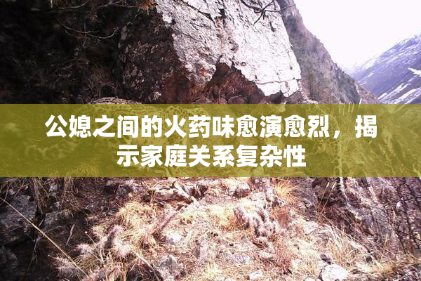 公媳之间的火药味愈演愈烈，揭示家庭关系复杂性