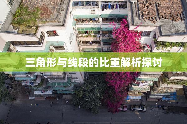 三角形与线段的比重解析探讨