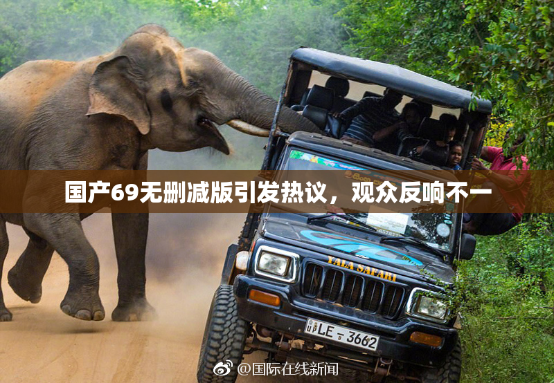 国产69无删减版引发热议，观众反响不一