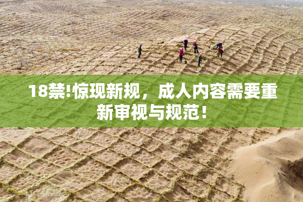18禁!惊现新规，成人内容需要重新审视与规范！