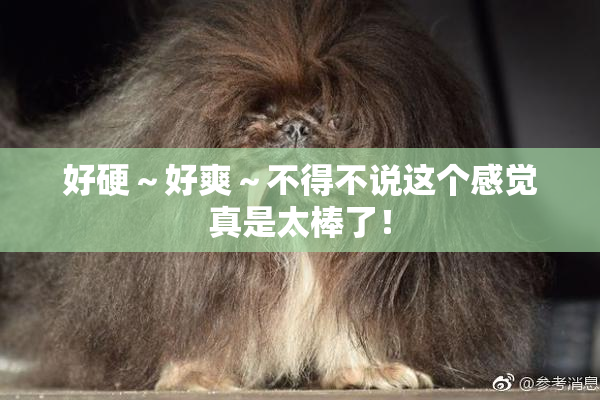 好硬～好爽～不得不说这个感觉真是太棒了！