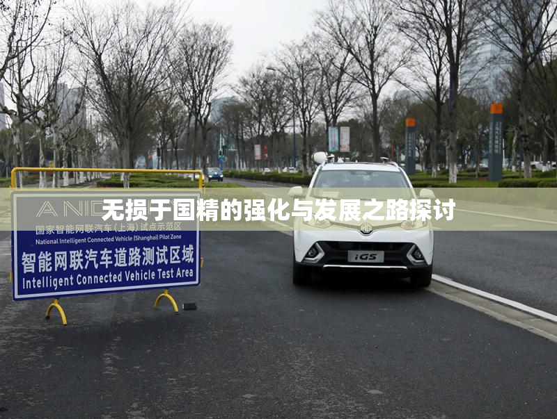 无损于国精的强化与发展之路探讨
