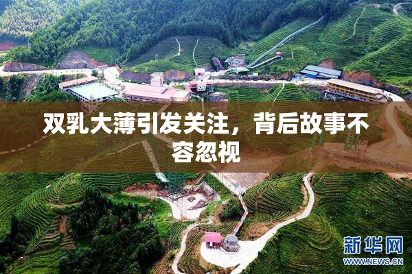 双乳大薄引发关注，背后故事不容忽视