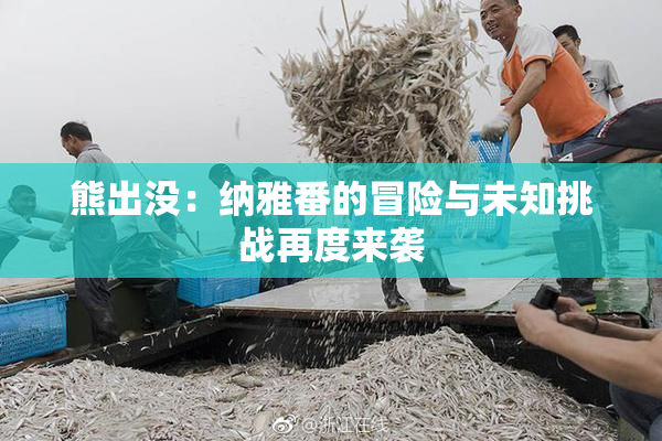 熊出没：纳雅番的冒险与未知挑战再度来袭
