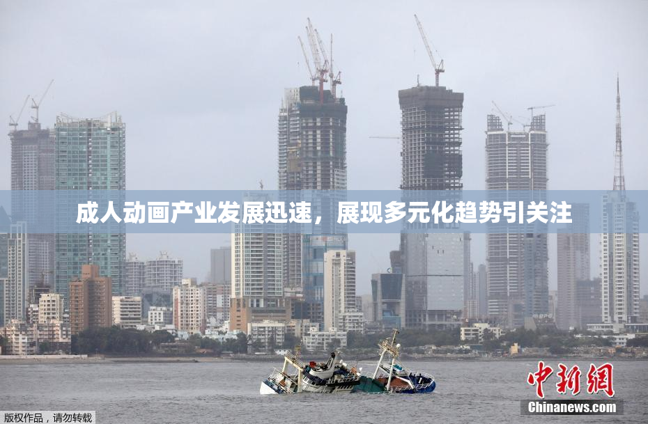 成人动画产业发展迅速，展现多元化趋势引关注