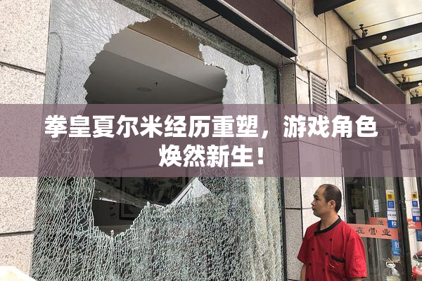 拳皇夏尔米经历重塑，游戏角色焕然新生！