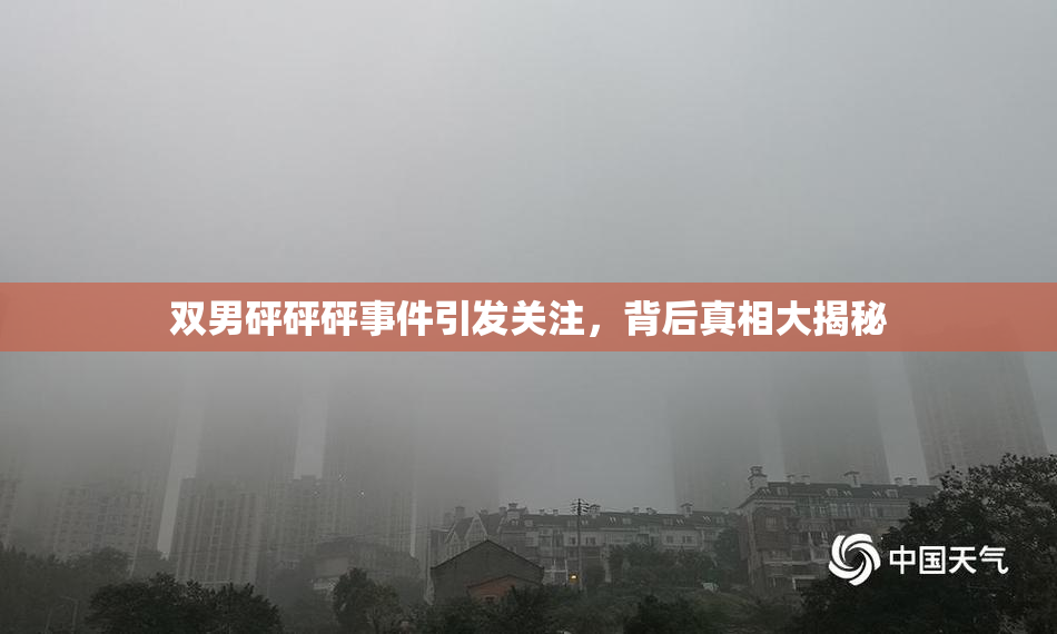 双男砰砰砰事件引发关注，背后真相大揭秘