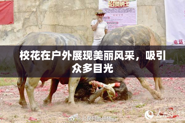 校花在户外展现美丽风采，吸引众多目光