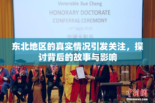 东北地区的真实情况引发关注，探讨背后的故事与影响