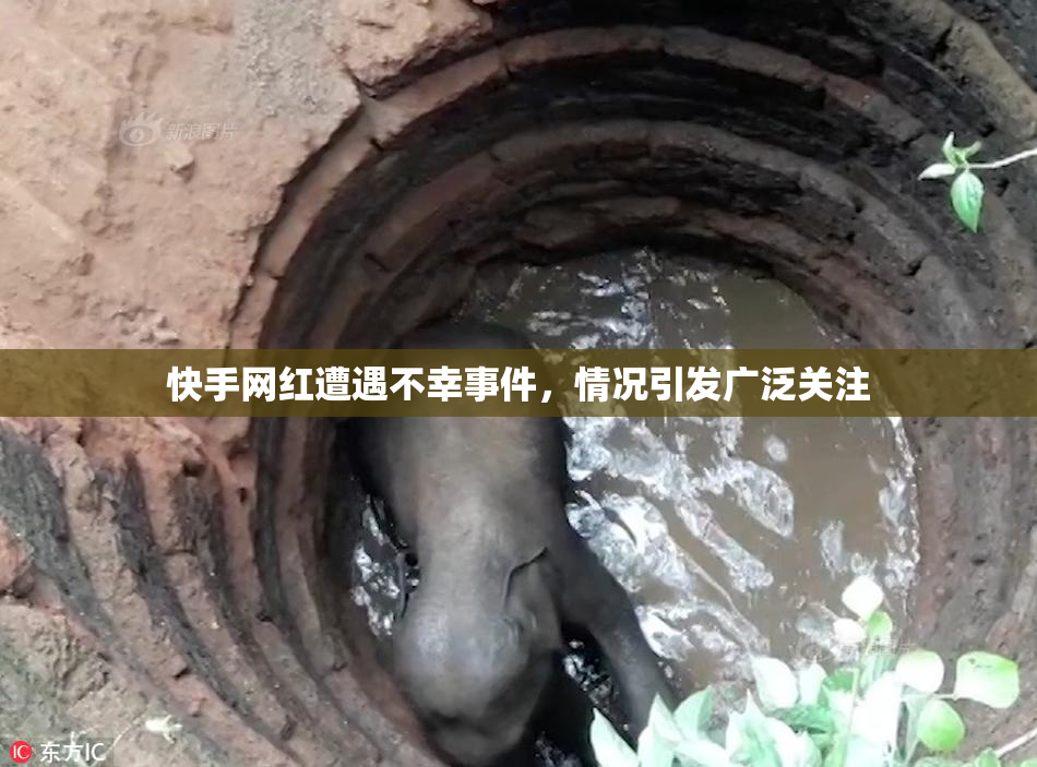 快手网红遭遇不幸事件，情况引发广泛关注
