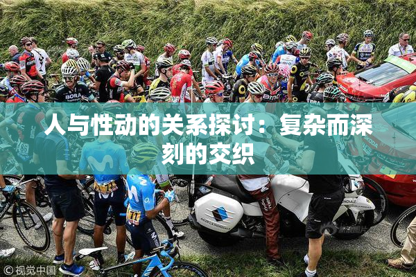 人与性动的关系探讨：复杂而深刻的交织