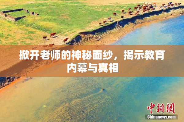 掀开老师的神秘面纱，揭示教育内幕与真相