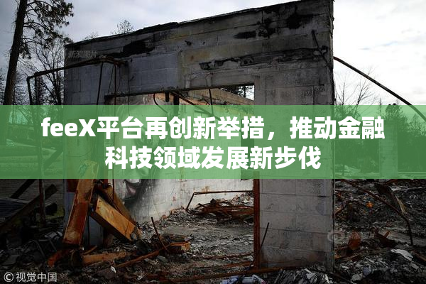 feeX平台再创新举措，推动金融科技领域发展新步伐